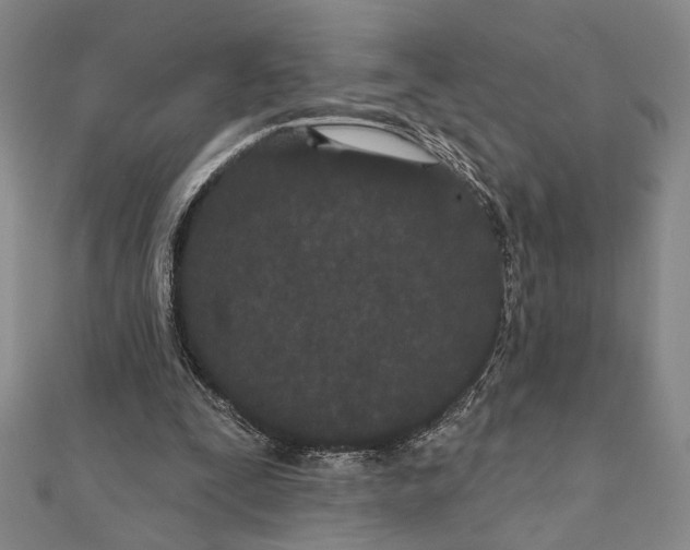 X0000111670295200908141435