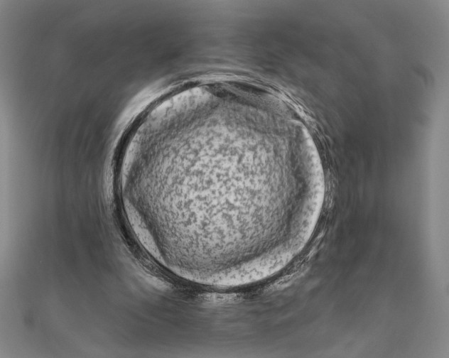 X0000111670296200908141435