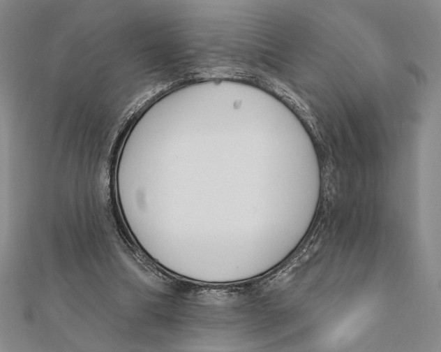 X0000111670298200908141435