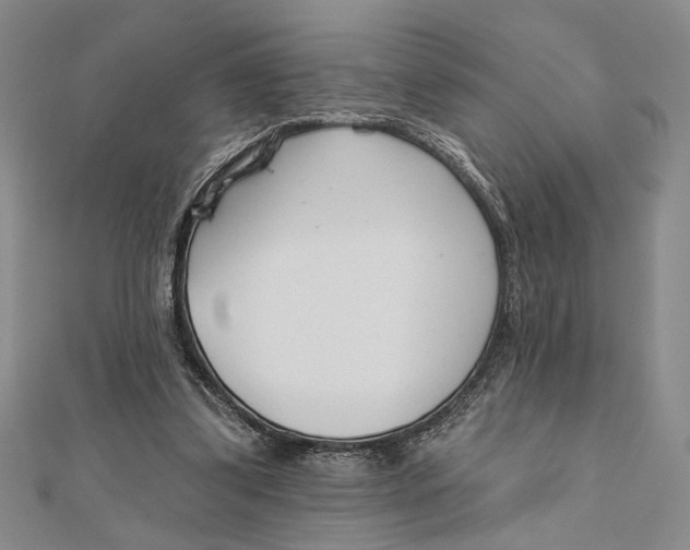 X0000111670299200908141435