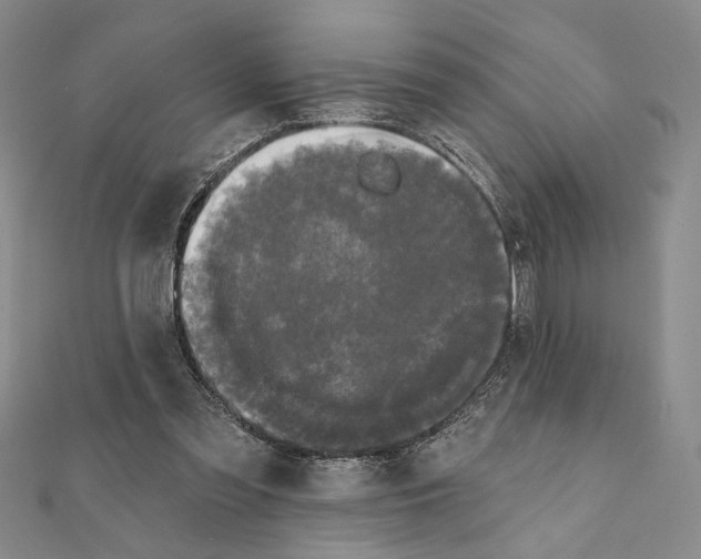 X0000111670301200908141435