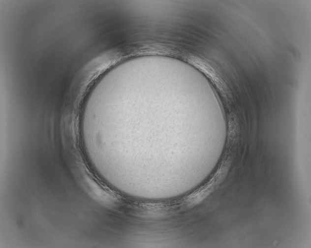 X0000111670302200908141435