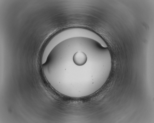 X0000111670304200908141435