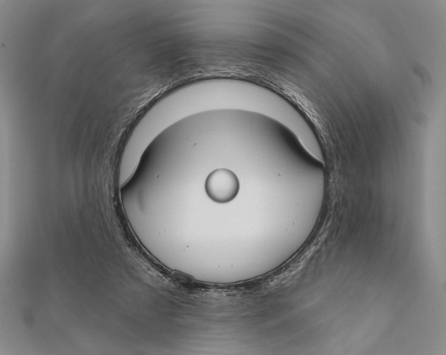 X0000111670305200908141435