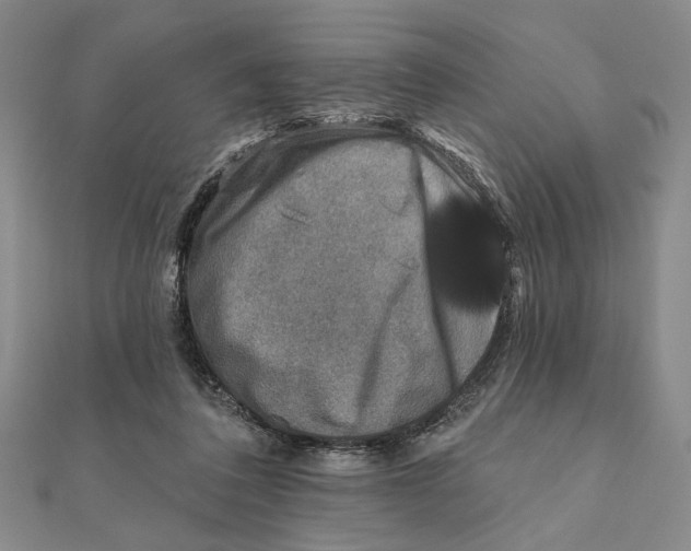 X0000111670308200908141434