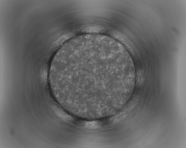 X0000111670309200908141434