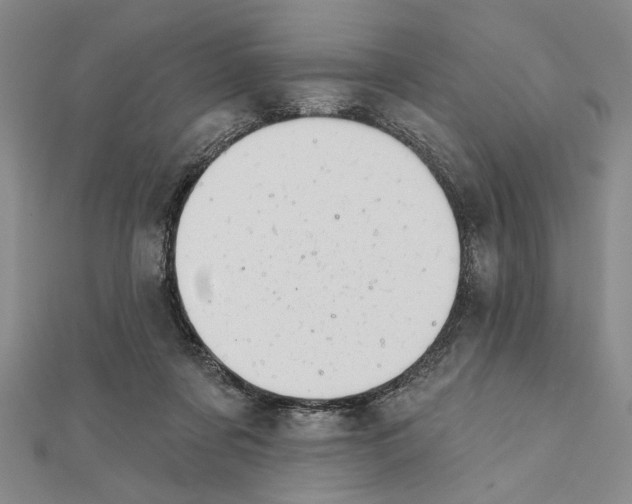 X0000111670311200908141434