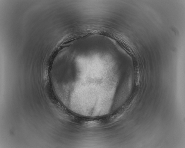 X0000111670312200908141434