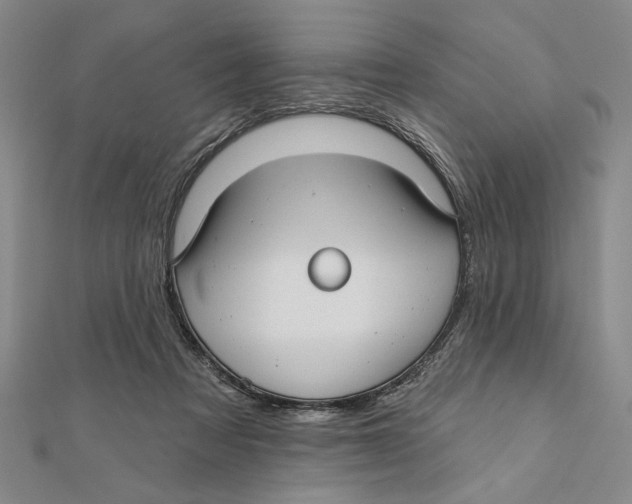 X0000111670313200908141434