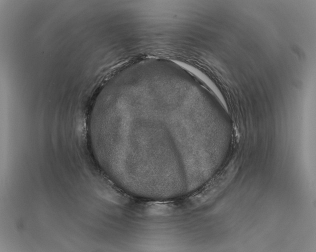 X0000111670320200908141434