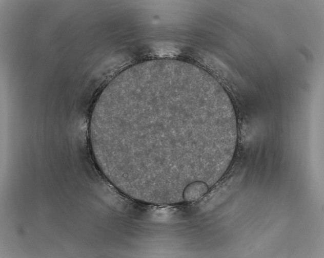 X0000111670321200908141434