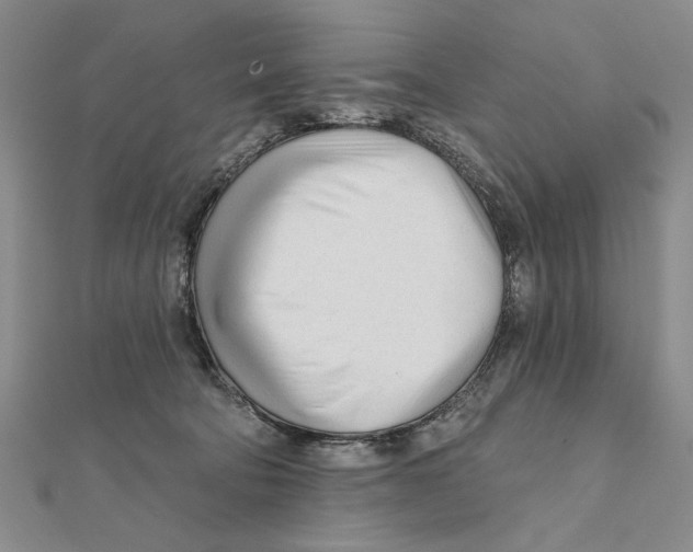 X0000111670322200908141434