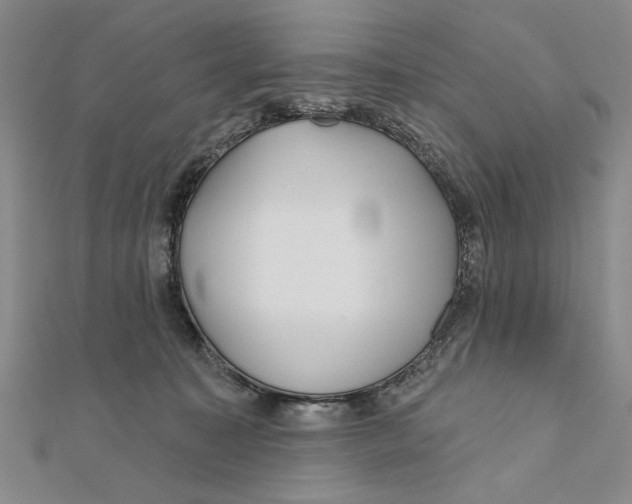 X0000111670323200908141434