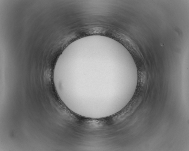 X0000111670326200908141434