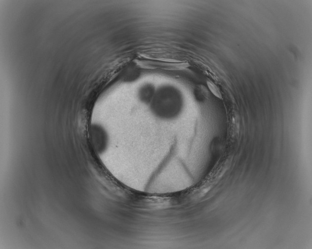 X0000111670328200908141434