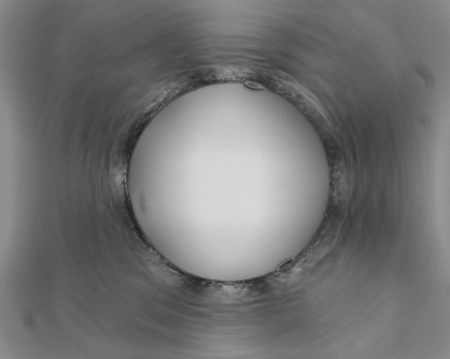 X0000111670329200908141434