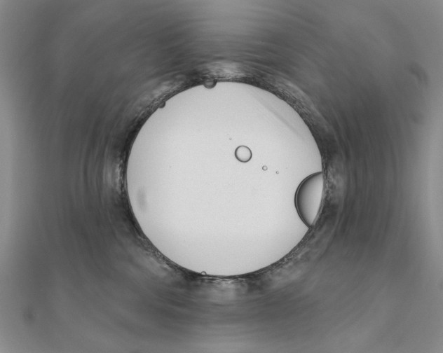 X0000111670330200908141434