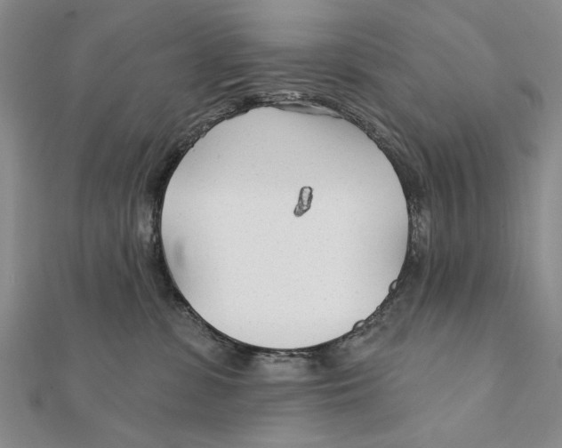 X0000111670331200908141434