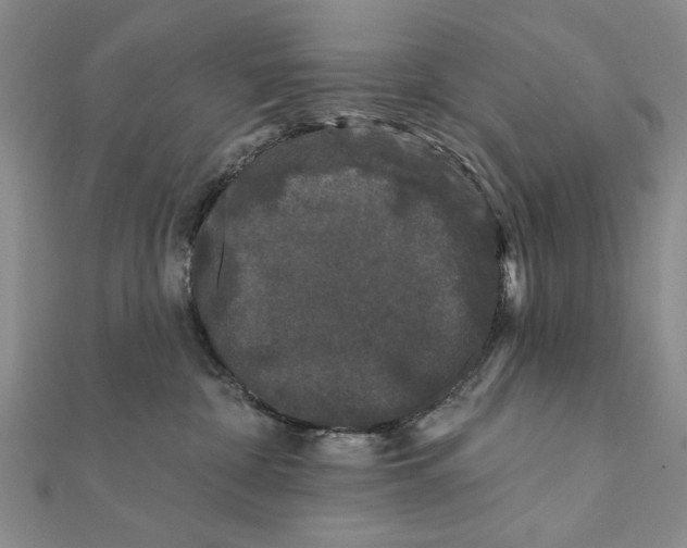 X0000111670332200908141434