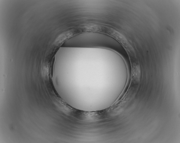 X0000111670333200908141434