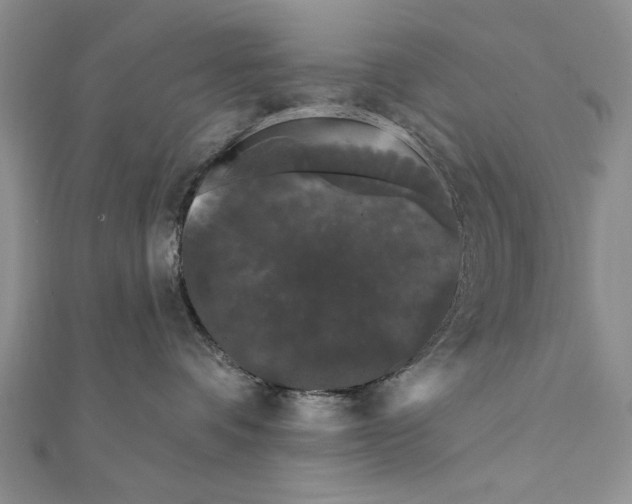 X0000111670336200908141434