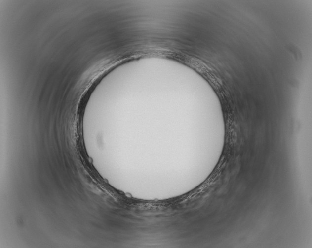 X0000111670338200908141433