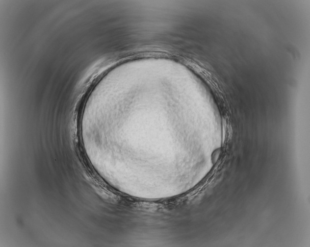 X0000111670339200908141433