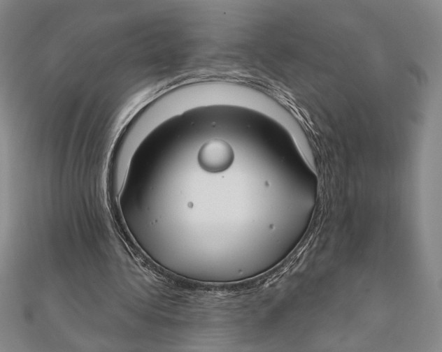 X0000111670340200908141433