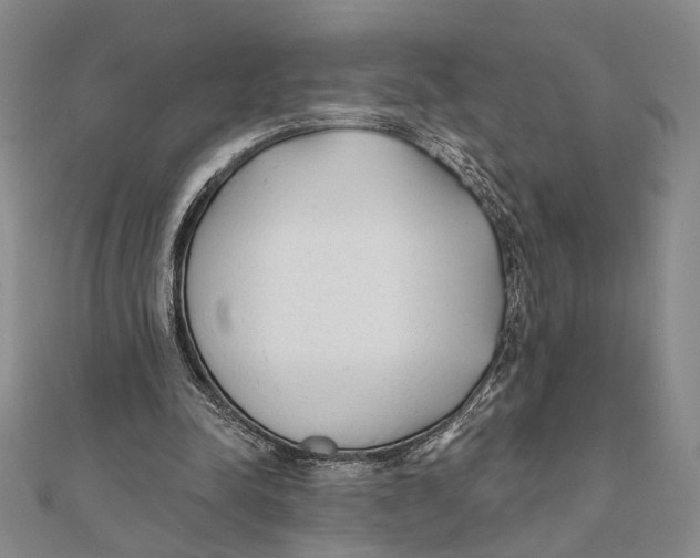 X0000111670342200908141433