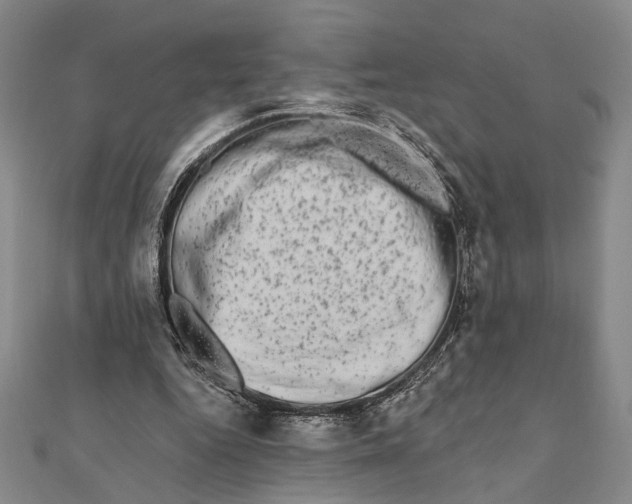 X0000111670344200908141433