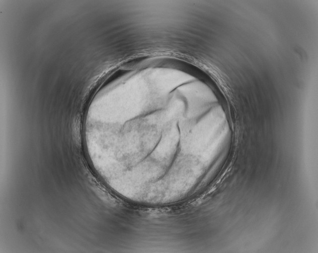 X0000111670345200908141433