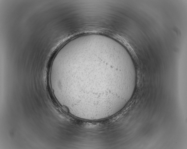 X0000111670346200908141433