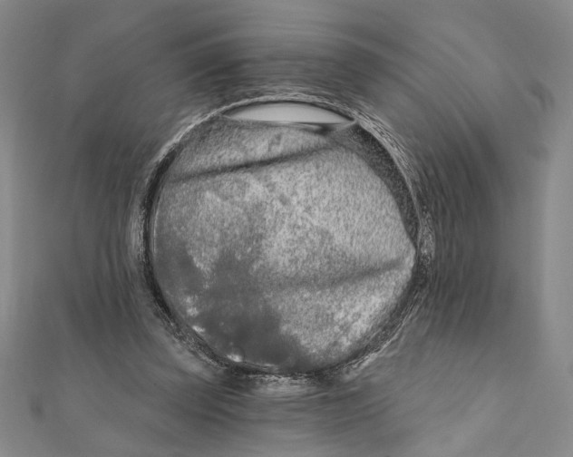 X0000111670347200908141433