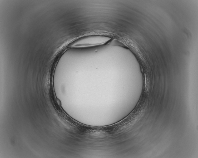 X0000111670348200908141433