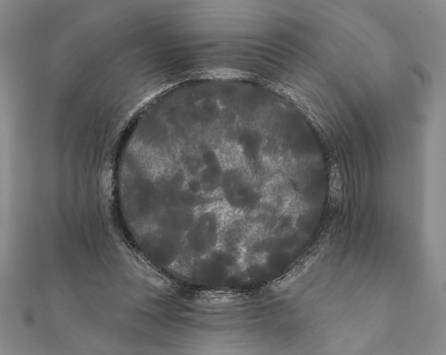 X0000111670351200908141433