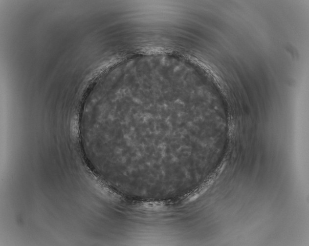 X0000111670353200908141433