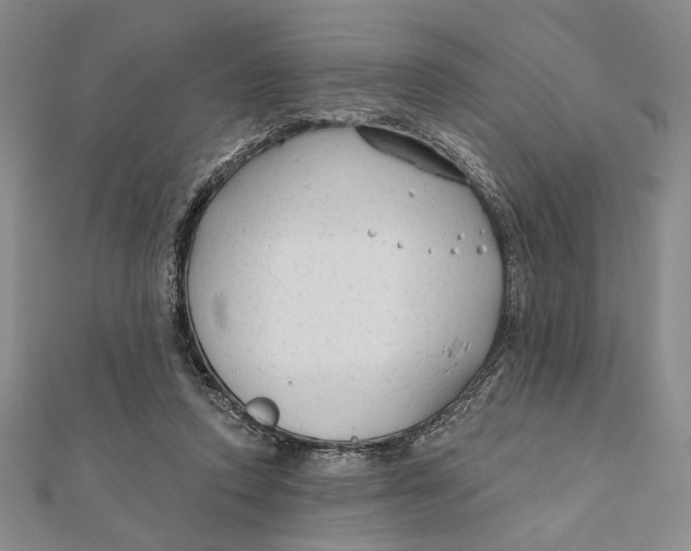 X0000111670354200908141433