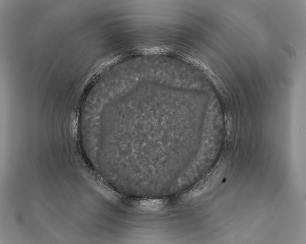 X0000111670357200908141433