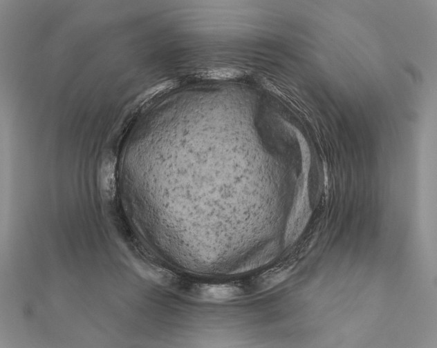 X0000111670360200908141434