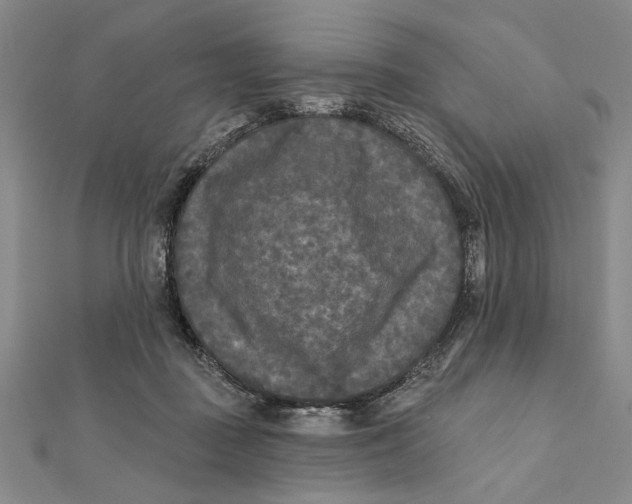 X0000111670363200908141434