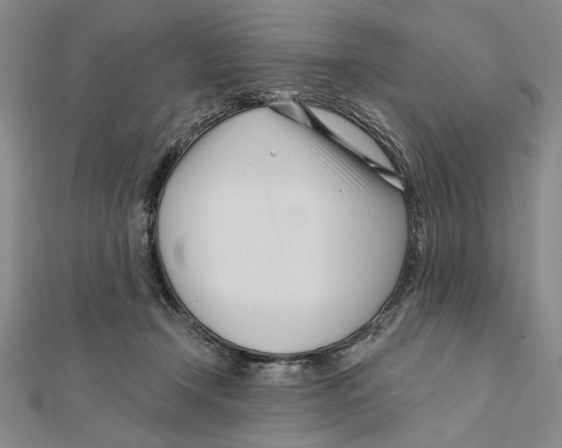 X0000111670366200908141434