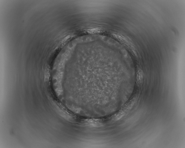 X0000111670367200908141434