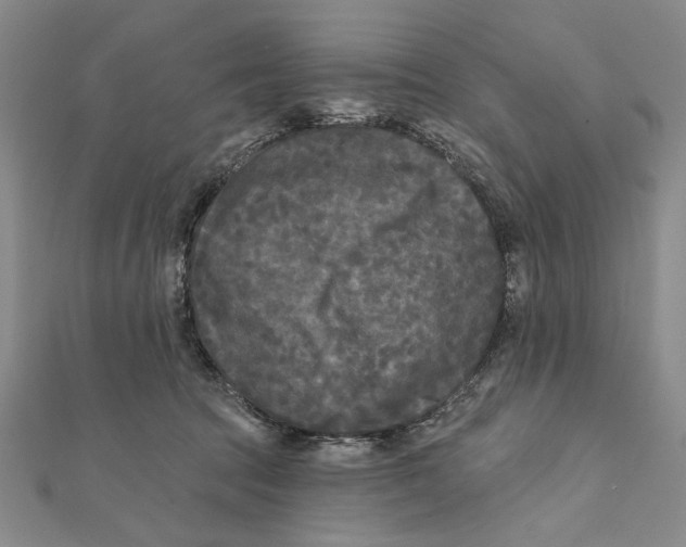 X0000111670369200908141434