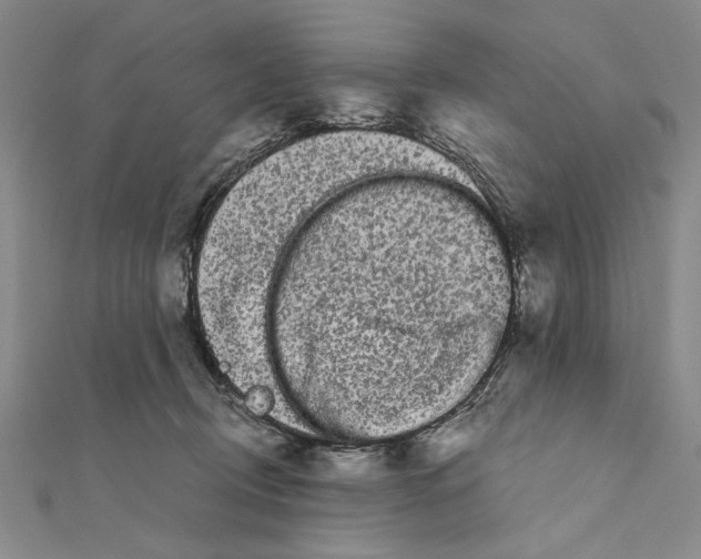 X0000111670370200908141434