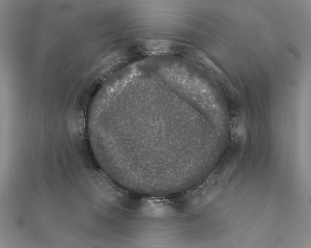 X0000111670372200908141434