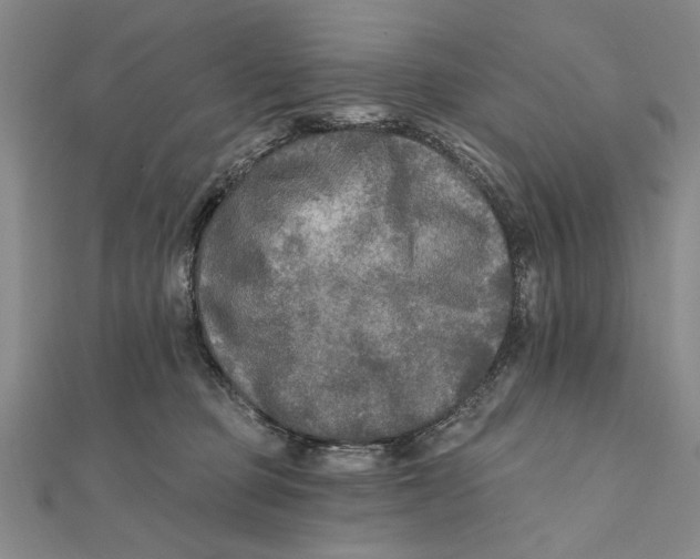 X0000111670373200908141434