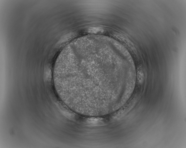 X0000111670375200908141434