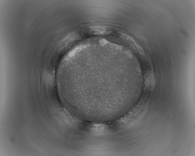 X0000111670376200908141434