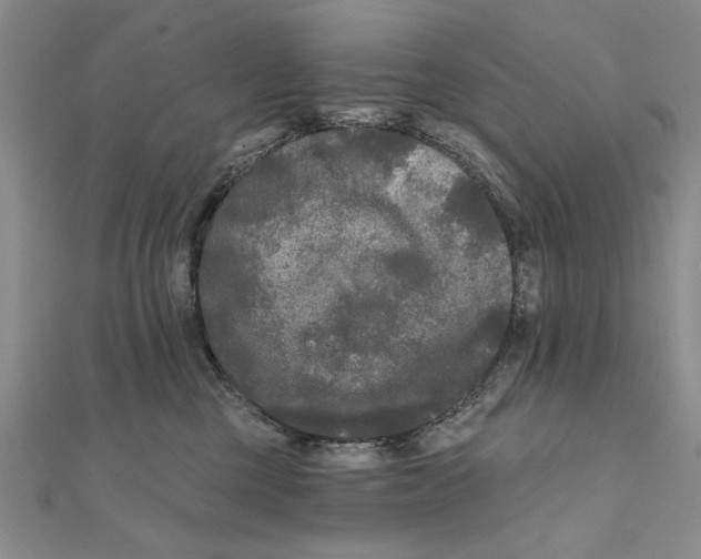 X0000111670377200908141434