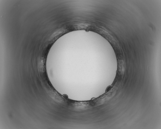 X0000111670378200908141434